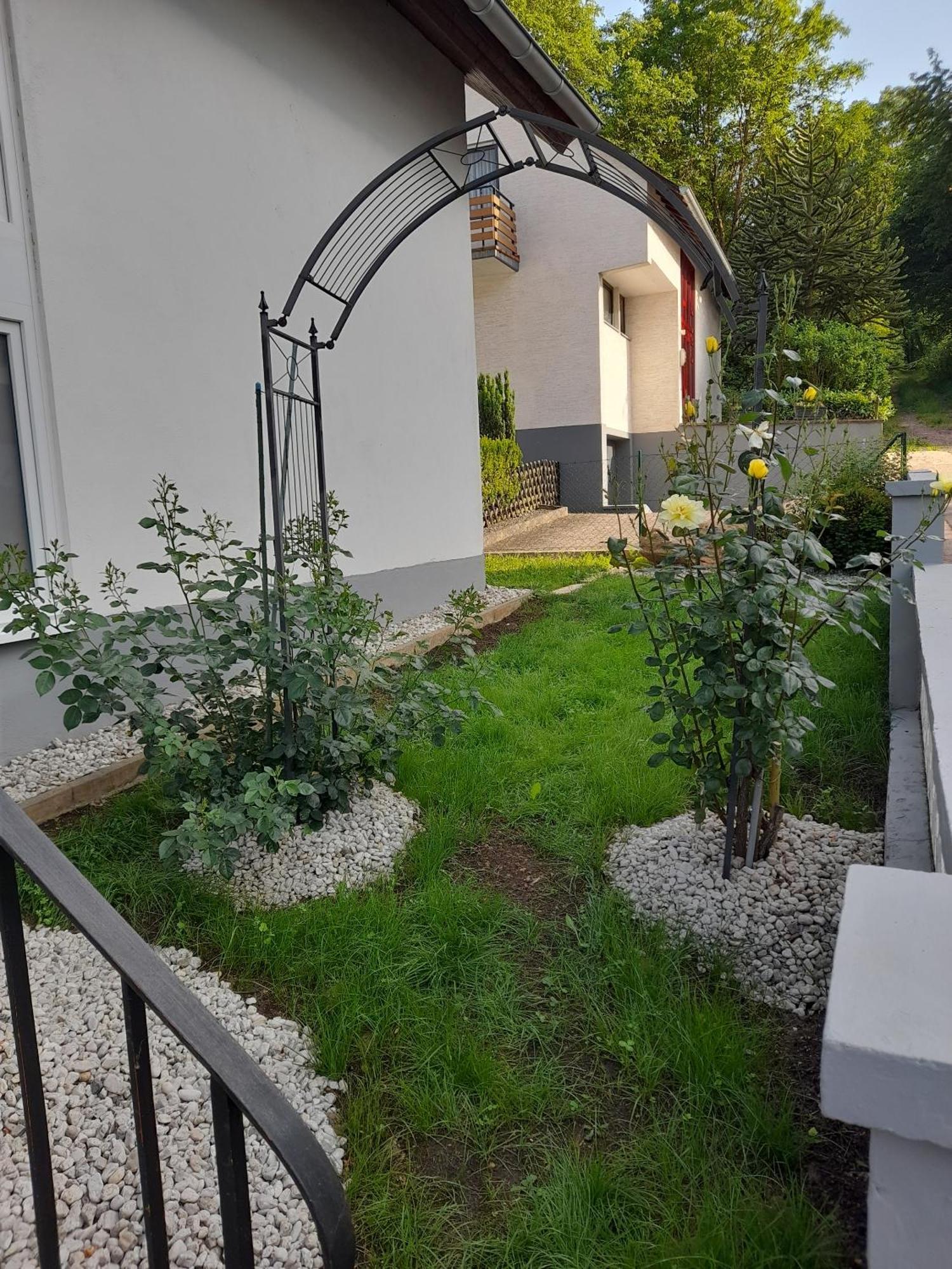 Gaestezimmer Bernkastel - Gaestehaus Barbara Εξωτερικό φωτογραφία