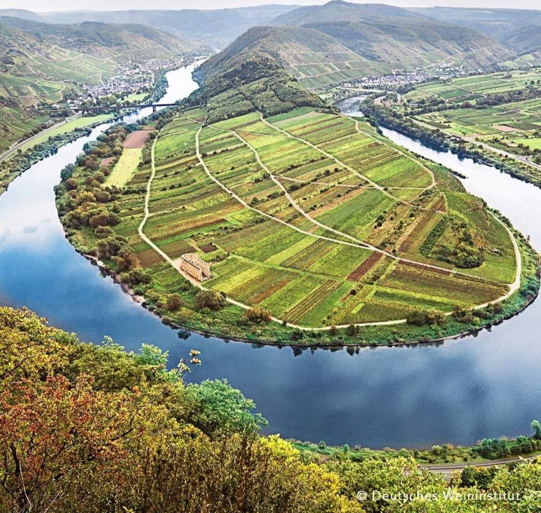 Gaestezimmer Bernkastel - Gaestehaus Barbara Δωμάτιο φωτογραφία